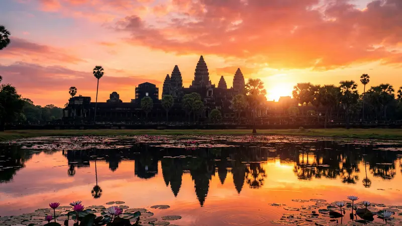 Angkor Wat temple reflected in lotus pond at sunrise
