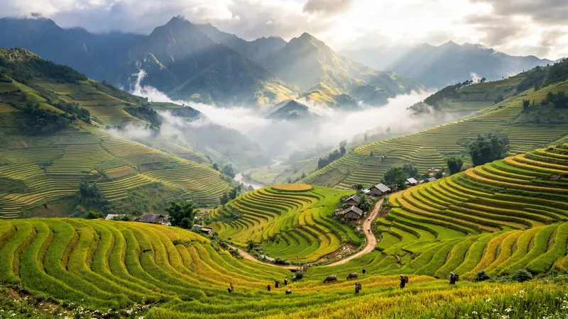 Sapa rice terraces cascading down misty hillside in northern Vietnam