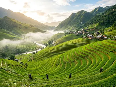 Sapa rice terraces in bright morning light with mist in the valley