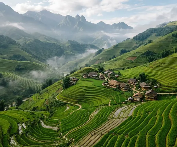 Sapa rice terraces, Vietnam