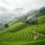 Terraced rice fields in Sapa Vietnam with morning mist and traditional stilt houses