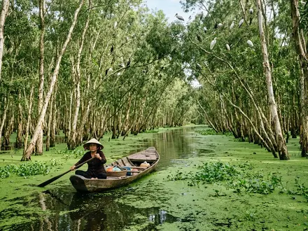 Tra Su Cajuput Forest