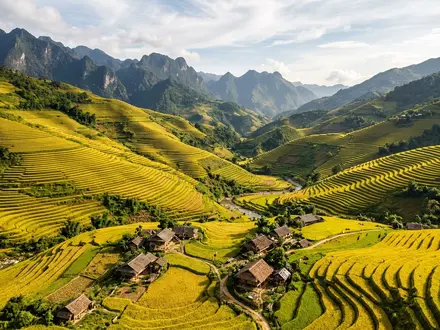 Hoang Su Phi Terraces