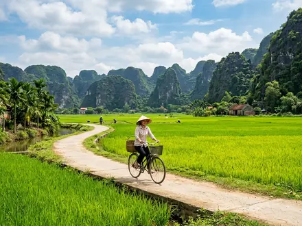Cycling the Rice Paddies