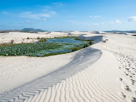 White Sand Dunes