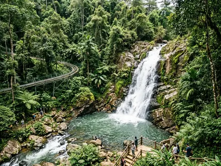 Datanla Waterfall Coaster