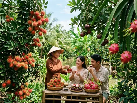 Fruit Orchard Tasting
