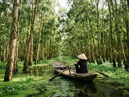 Tra Su Forest Boat Ride