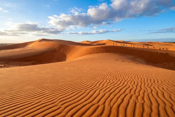 Mui Ne red sand dunes at golden hour with ocean in the background, Vietnam
