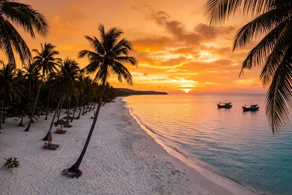 Phu Quoc Long Beach sunset with palm tree silhouettes