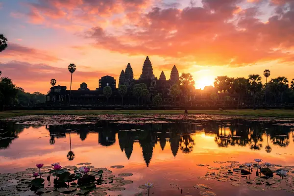 Angkor Wat temple reflected in lotus pond at sunrise